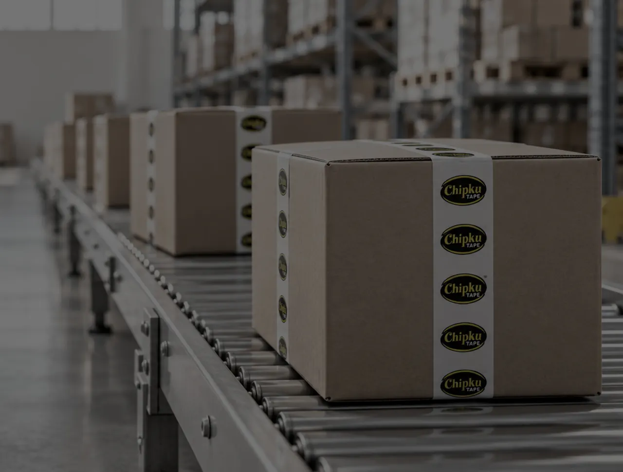 Sealed cartons on the dispatch line inside the ChipkuTape plant